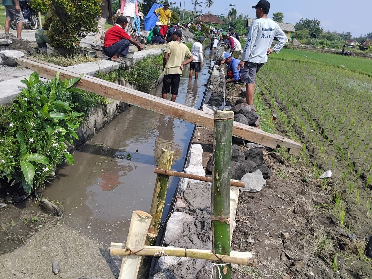 Pembangunan Talud Irigasi Tersier di Jogroho Keyongan Tingkatkan Kelancaran Distribusi Air Pertanian